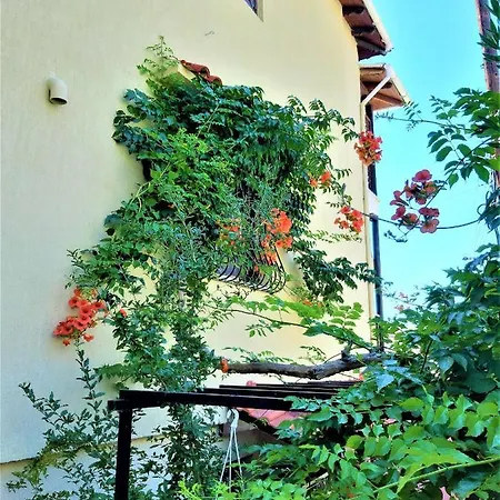 Apartament Zefyros
